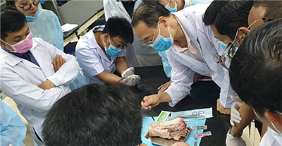 UPs Faculty of Medicine has appointed a Deputy Dean for Clinical Affairs, Dr. Prom Vireak.