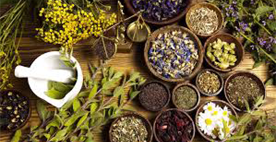 UP PHARMACY IS JOINING THE WORLD UNION FOR HERBAL DRUG DISCOVERY