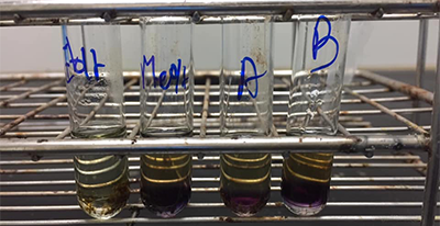 UPs Methanol identification tests avoiding deaths in Phnom Penh pharmaceutical market