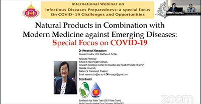 UP Pharmacy Faculties Joined International Webinar
