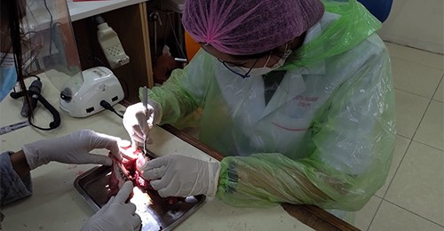 UP Dental Students Learn Oral Surgery Skills in the SIM Lab